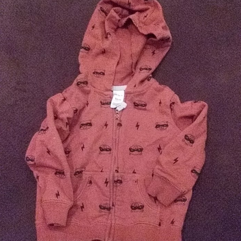 Carter's Racoon hoodie